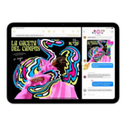 Apple IPAD WIFI 256GB SILVER