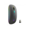 EWENT Ratón Inalámbrico Recarg. Dual  BT/WIFI, RGB
