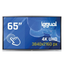 iggual Pantalla interactiva 4K ORCHID 65"