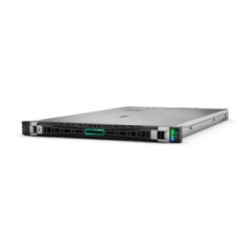 HPE DL360 G11 4510 2X32G